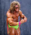 The Ultimate Warrior on Random Greatest WWE Superstars