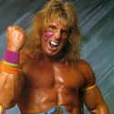 The Ultimate Warrior on Random Professional Wrestlers Who Died Young
