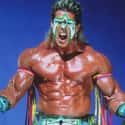 The Ultimate Warrior on Random Ranking Greatest WWE Hall of Fame Inductees