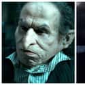 Warwick Davis on Random 'Harry Potter' Actors Share Their Favorite Memory Of The Series