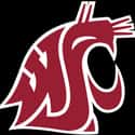 Washington State Cougars football on Random Best Pac-12 Football Teams