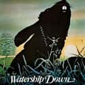Watership Down on Random Animated Movies That Make You Cry Most