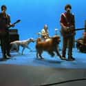Pop punk, Rock music, Garage rock   See: The Best Weezer Songs