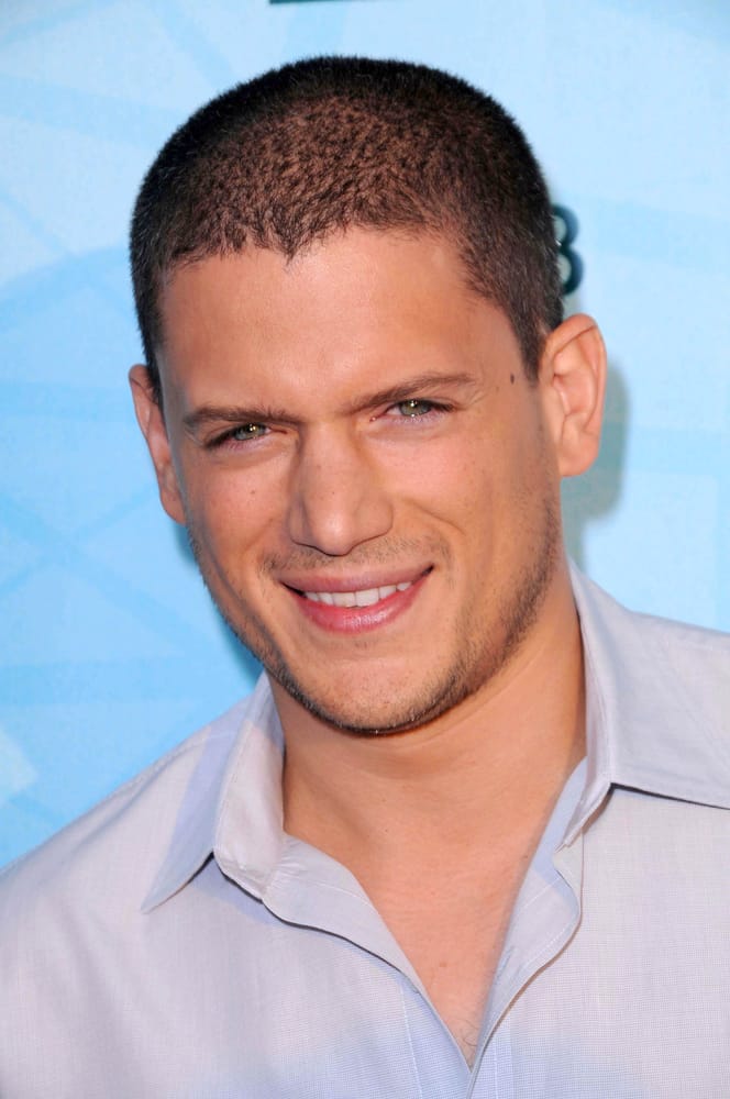 Wentworth miller wife image