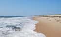 Westerly on Random Best Beaches in New England