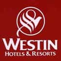 Westin Hotels & Resorts on Random Best Luxury Hotel Chains