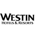 Westin Hotels & Resorts on Random Best Luxury Hotel Brands