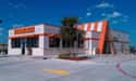 Whataburger on Random Quintessential Local Fast Food Chain From Every State