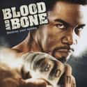 Blood and Bone on Random Best Black Movies