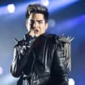 Adam Lambert on Random Greatest Gay Icons In Music