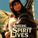 Where the Spirit Lives on Random Best Native American Movies