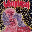 Insult to Injury, Thrashback, Ticket to Mayhem   Whiplash is an U.S. thrash metal band.