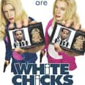 White Chicks on Random Best PG-13 Comedies