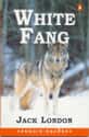Jack London   White Fang is a novel by American author Jack London — and the name of the book's eponymous character, a wild wolfdog. First serialized in Outing magazine, it was published in 1906.