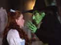 Wicked Witch of the West on Random Movie Villains Who Were Probably Right All Along