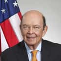 Wilbur Ross on Random People Is Really Making Decisions In The White House