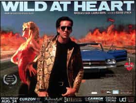wild at heart film song