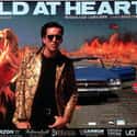 Nicolas Cage, Willem Dafoe, Isabella Rossellini   Wild at Heart is a 1990 American thriller film written and directed by David Lynch, and based on Barry Gifford's 1989 novel of the same name.