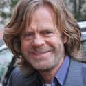 William H. Macy on Random Greatest Actors Who Have Never Won an Oscar (for Acting)