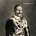 Wilhelm II on Random Signature Afflictions Suffered By The Most Famous Royals