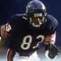 Willie Gault is listed (or ranked) 2 on the list The Best Chicago Bears Wide Receivers of All Time