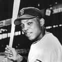 Willie Mays on Random Best Black Baseball Players