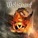 Wolfchant on Random Best Melodic Black Metal Bands