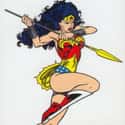 Wonder Woman on Random Best Comic Book Superheroes