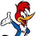 Woody Woodpecker on Random Hateful Cartoon Characters