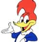 Woody Woodpecker is listed (or ranked) 20 on the list The Greatest Bird Characters of All Time