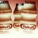 Yakult on Random Best Probiotics Brands