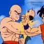 Yamcha is listed (or ranked) 42 on the list The Best Anime Rivalries of All Time