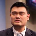 Yao Ming on Random Player In Basketball Hall Of Fam