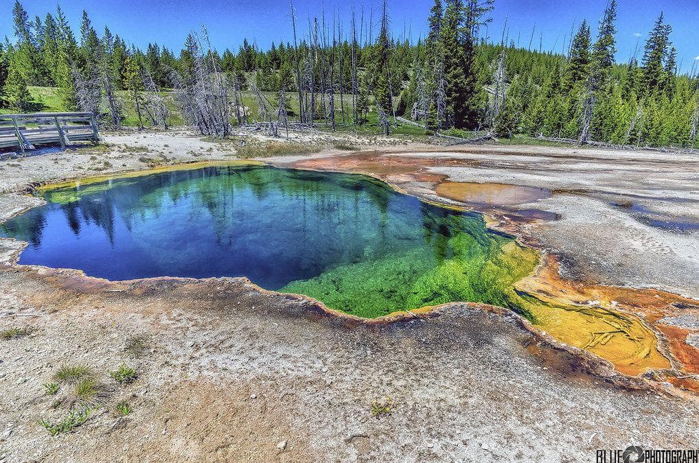 Random Best National Parks in the USA