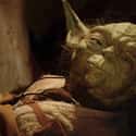 Yoda on Random Most Unforgettable Last Words Of 'Star Wars' Characters