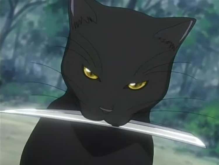 The 15 Best Anime Characters Who Can Turn Into Animals