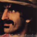 You Are What You Is on Random Best Frank Zappa Albums List