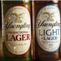 Yuengling Traditional Amber Lager on Random Best Beer Brands