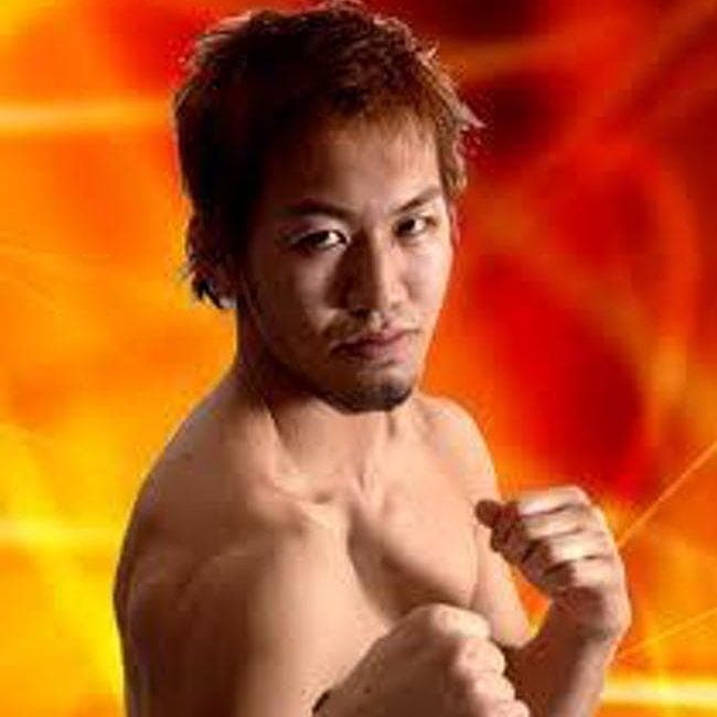 The 20 Best Japanese UFC Fighters Of All Time, Ranked By Fans