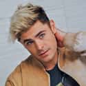 Zac Efron on Random Celebrities That Gave Us Douche Chills With Their Frosted Tips