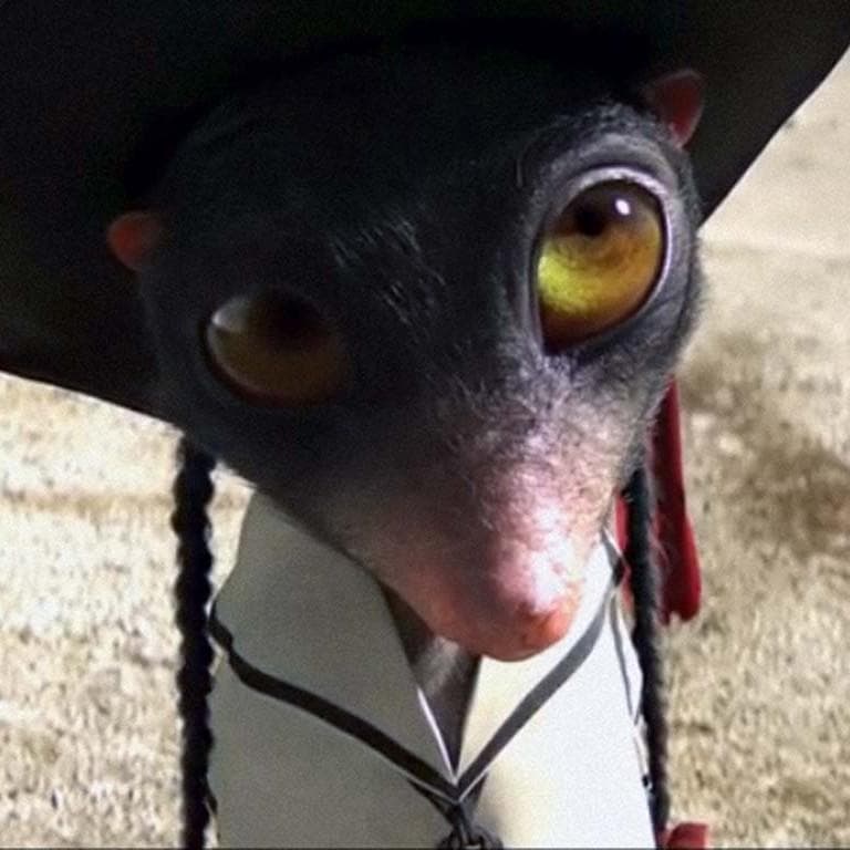 Namen Der Rango Charaktere Rango | Netflix