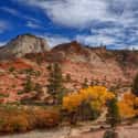 Zion National Park on Random Best National Parks in the USA
