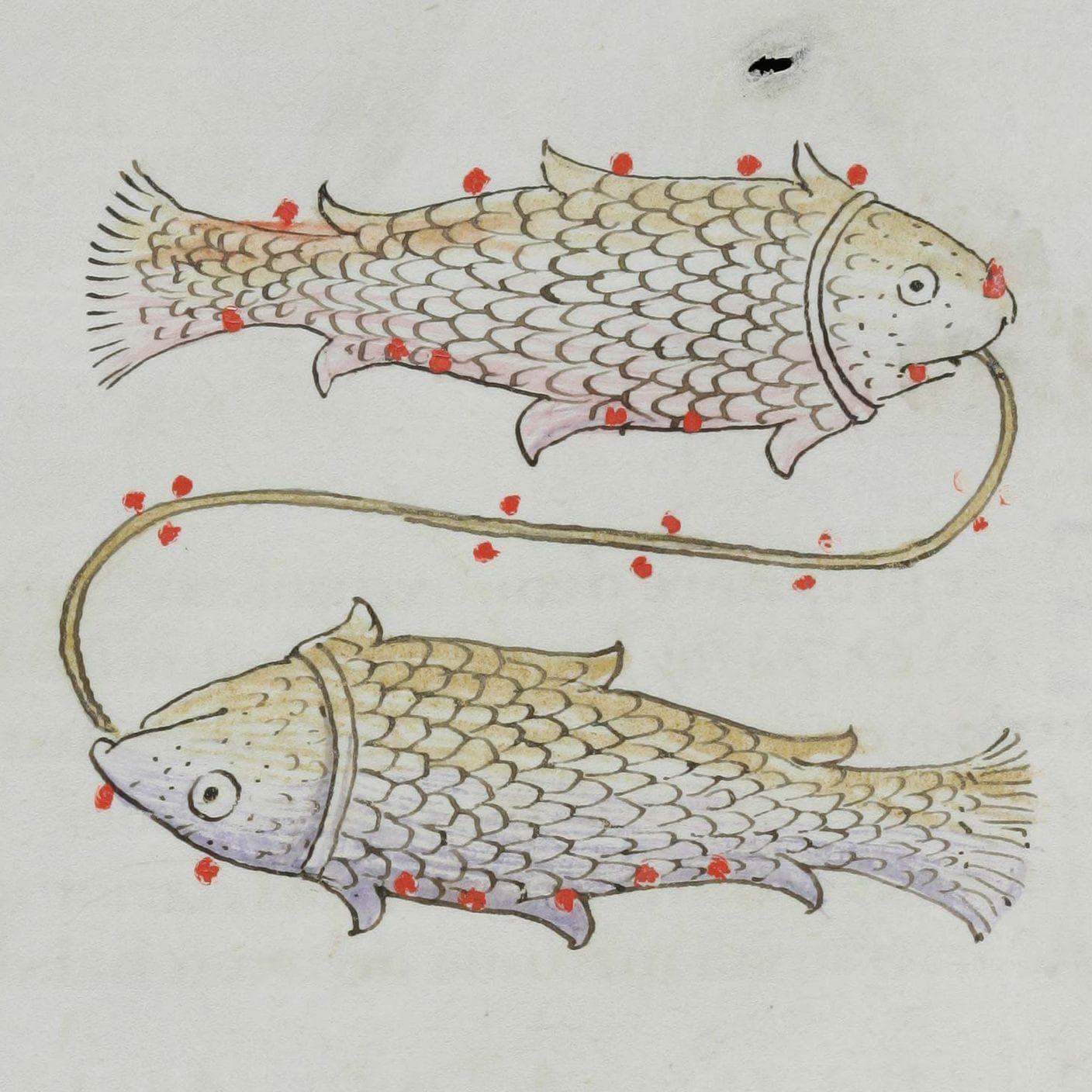 Pisces (February 19 - March 20 is listed (or ranked) 12 on the list The Creepiest Thing About You, According To Your Zodiac Sign