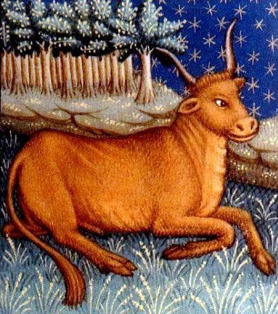 Taurus (April 20 - May 20)