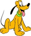 Pluto on Random Best Pop Culture Pet Names
