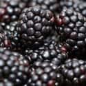 Blackberry on Random Best Foods to Buy Organic