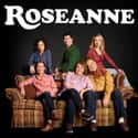 Roseanne on Random Best 1980s Primetime TV Shows
