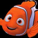Nemo on Random Cutest Pixar Animals
