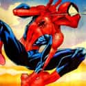 Spiderman on Random Art Treatment Get From The Disney Fan of Avengers And Other Marvel Characters