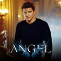 Angel on Random TV Shows Canceled Before Their Time
